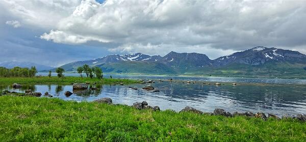 Buksnes