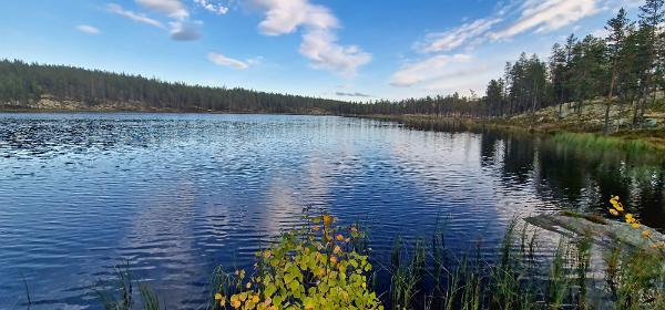 Teich an der Rv217