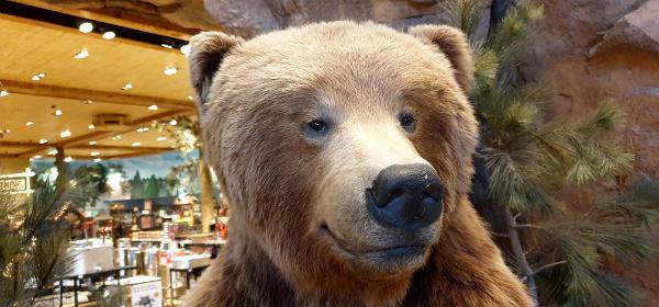 Bass Pro Shops Colorado Springs